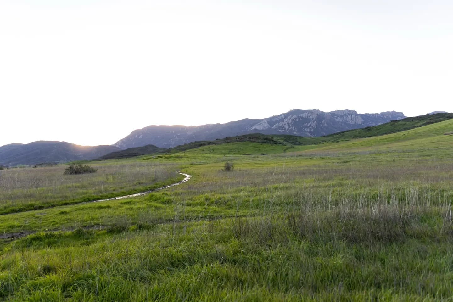 Mountain biking trail